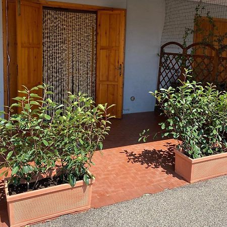 Umbria Vacanze Apartment Stroncone Bagian luar foto